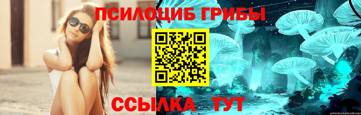 Лосино-Петровский  Псилоцибиновые грибы Psilocybine cubensis  Вход с VPN  Галлюциногенные грибы ЛСД 
